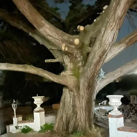 Da Piera Di Carta Giuseppina * Sassari